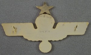 Badge Senior parachutist 
