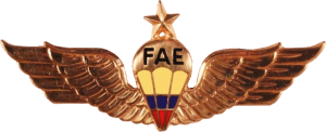 Нагрудный знак Старший парашютист 