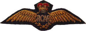 Badge Pilot 
