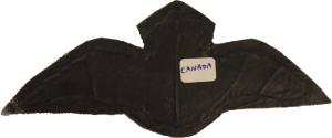 Badge Pilot 