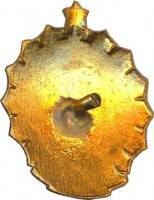 Badge  