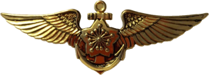 Нагрудный знак Пилот 
