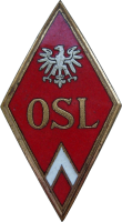 Badge Flight officer school 