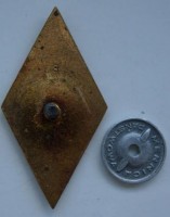 Badge Flight officer school 