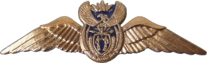 Нагрудный знак Пилот, золотой 