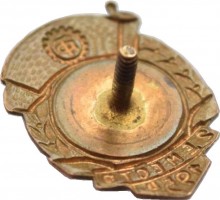 Нагрудный знак Трудовые Резервы Волейбол Женский 1954 год 