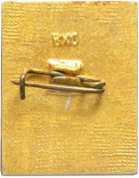 Нагрудный знак 50 лет ИГД им. А. А. Скочинского 