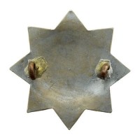 Badge Auxiliary Fire Service Brigade Corps National AFS Cap Badge 