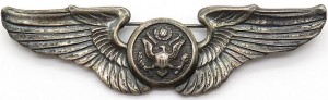 Badge Air crew man 