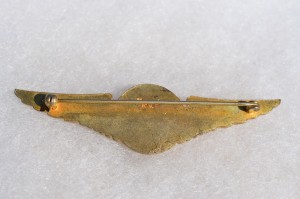 Badge AIR CREW	 