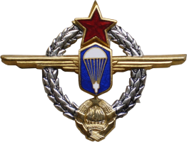 Нагрудный знак Парашютист-инструктор 1 класса 