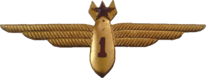 Badge Navigator 1st class 