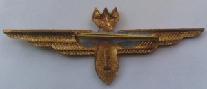 Нагрудный знак Штурман 1 класса 