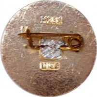 Нагрудный знак Чемпионат мира по хоккею  ФРАНЦИЯ  1968 г. 
