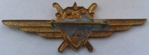 Нагрудный знак Летчик 1 класса 