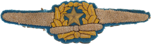 Нагрудный знак Пилот 