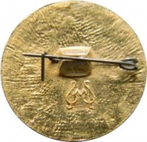 Нагрудный знак ВДОАМ 
