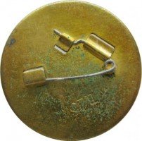 Нагрудный знак Золотая шайба 