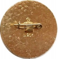 Нагрудный знак Чемпионы 1975 года, Мюнхен, Дюсельдорф 