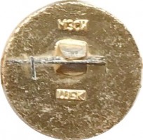Нагрудный знак Хоккеисты СССР, чемпионы мира, Швейцария 1971 