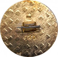 Нагрудный знак Восход-2, 1965 