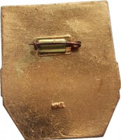 Нагрудный знак Дружинник 
