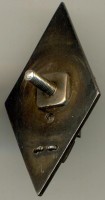 Нагрудный знак Военный Инситут 