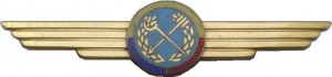 Badge  
