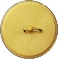 Нагрудный знак Легкая атлетика 