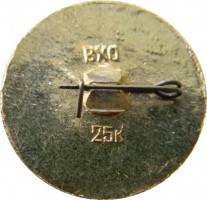 Нагрудный знак СССР-СРР, интеркосмос, 14.05.1981 