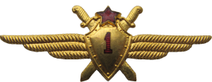 Badge Pilot 1st class 