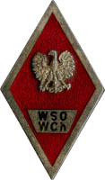 Badge High officer chemical defense school 