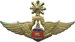 Badge Pilot 