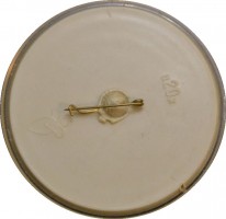Нагрудный знак Олимпийский футбольный турнир. Киев-1980 