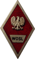 Badge Officer Air Force School 