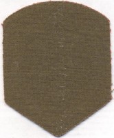 Нагрудный знак Медицинская служба 