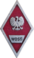 Badge High officer avtomobile school 