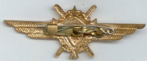 Badge Pilot 2nd class 