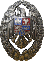 Badge Navy academy 