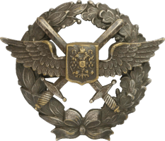 Badge Pilot 