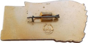 Нагрудный знак 50 Лет 9-му Учебному Отряду Надводных Кораблей, 1922-1972 