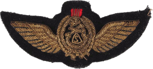 Нагрудный знак Пилот 