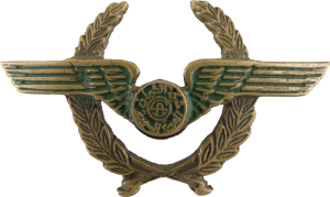 Нагрудный знак Пилот 