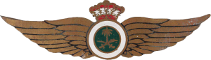 Нагрудный знак Пилот 