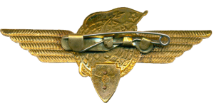 Нагрудный знак Летчик космонавт 1 класса 