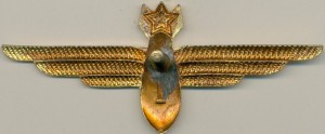 Badge Navigator 1st class 