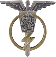 Badge Radioman 3rd class 