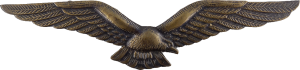 Badge Pilot 