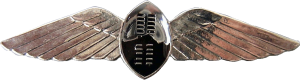 Нагрудный знак Пилот 