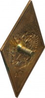 Нагрудный знак Российская Таможенная Академия 